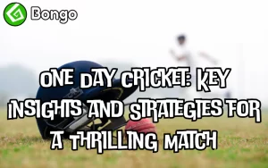 one day cricket